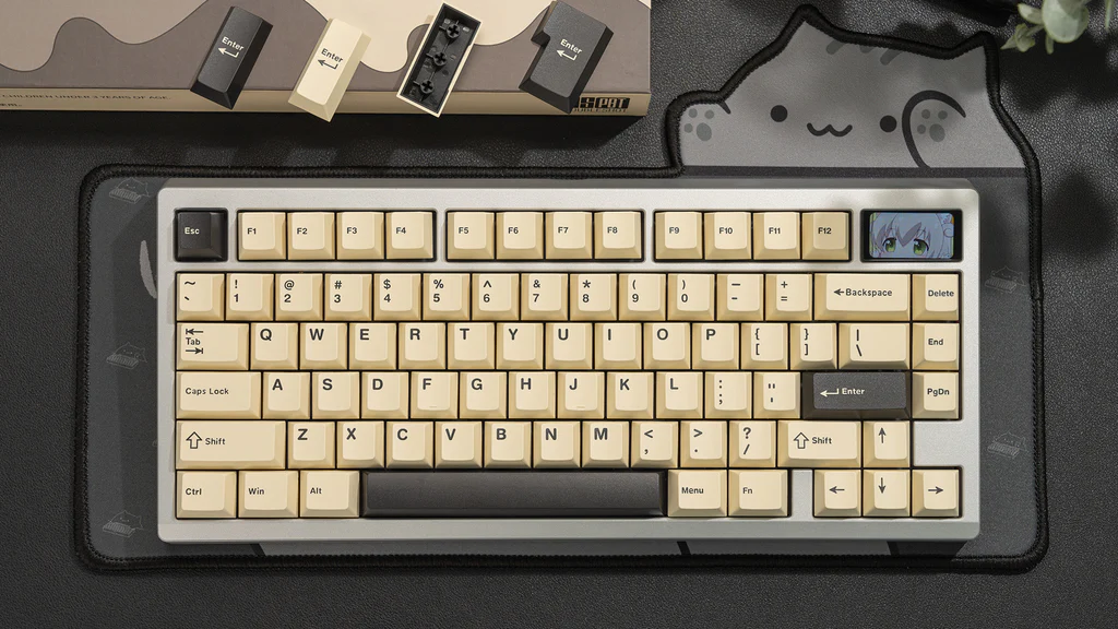 🎁 WS PBT Keycaps (100% off)