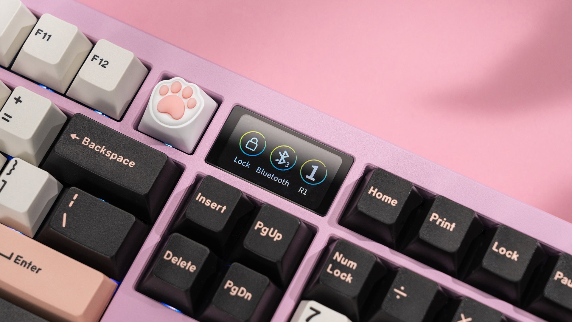 Zoom98 EE Blush Pink