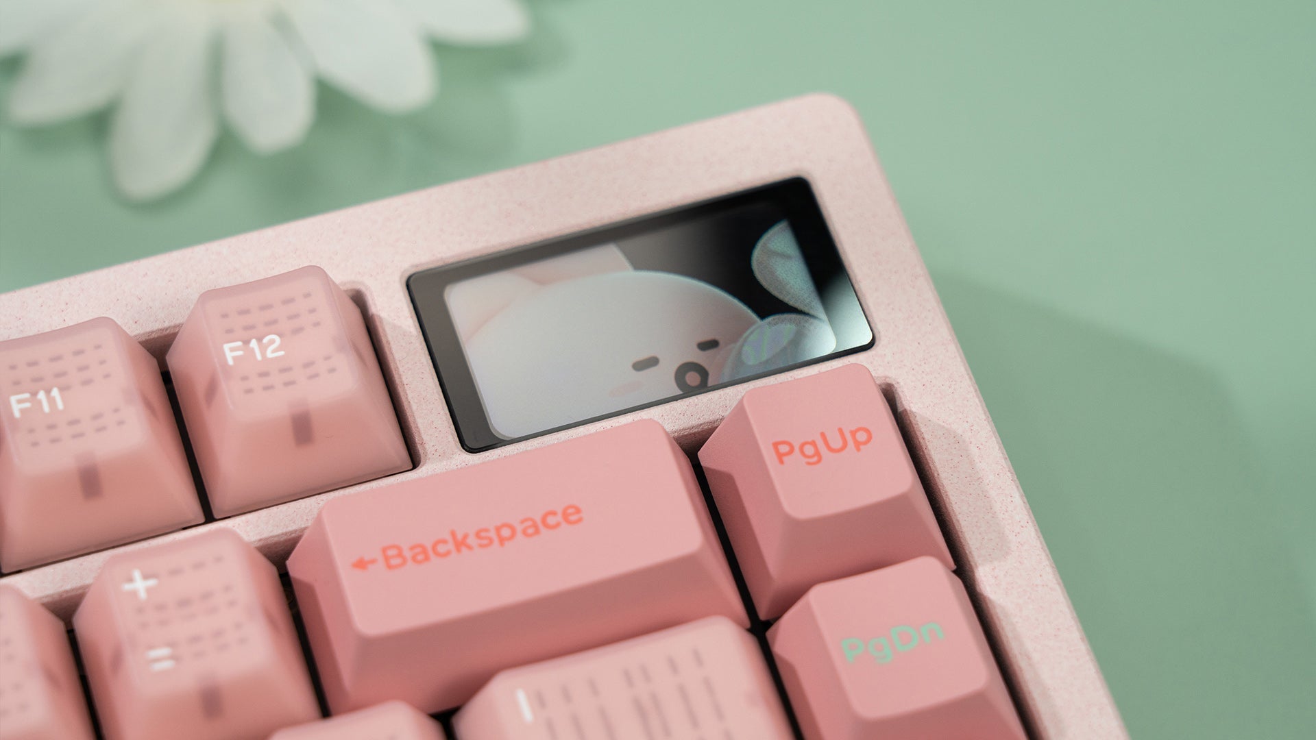 Zoom75 Essential Edition - Strawberry Icecream