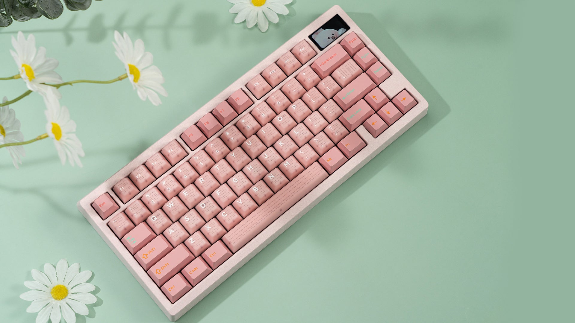 Zoom75 Essential Edition - Strawberry Icecream