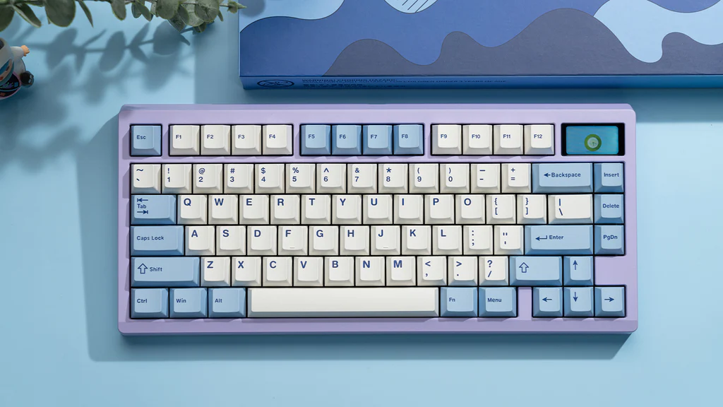 🎁 WS PBT Keycaps (100% off)