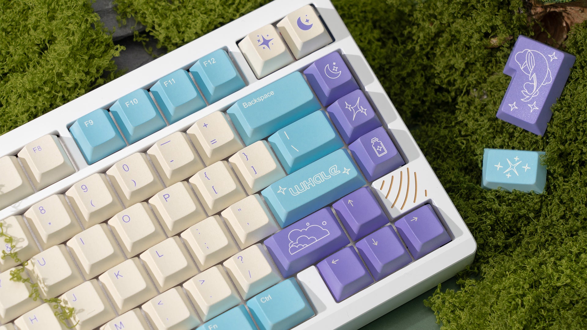 Whale Keycap Set