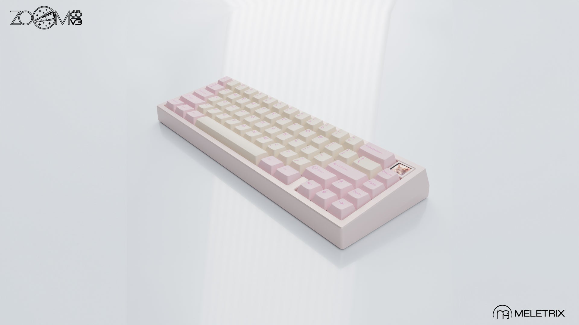 ZOOM65 V3