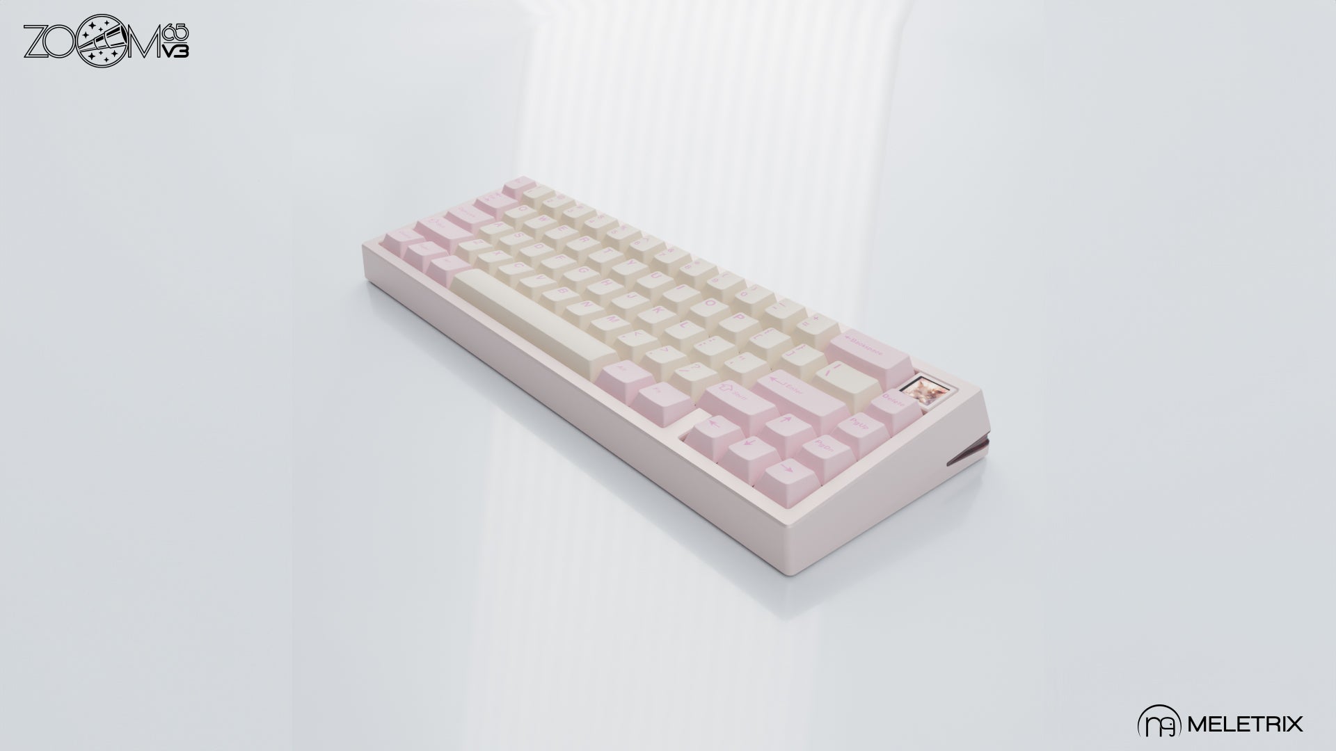 ZOOM65 V3