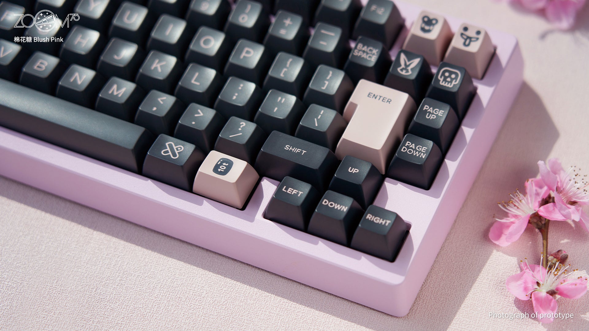 Zoom75 Essential Edition - Blush Pink