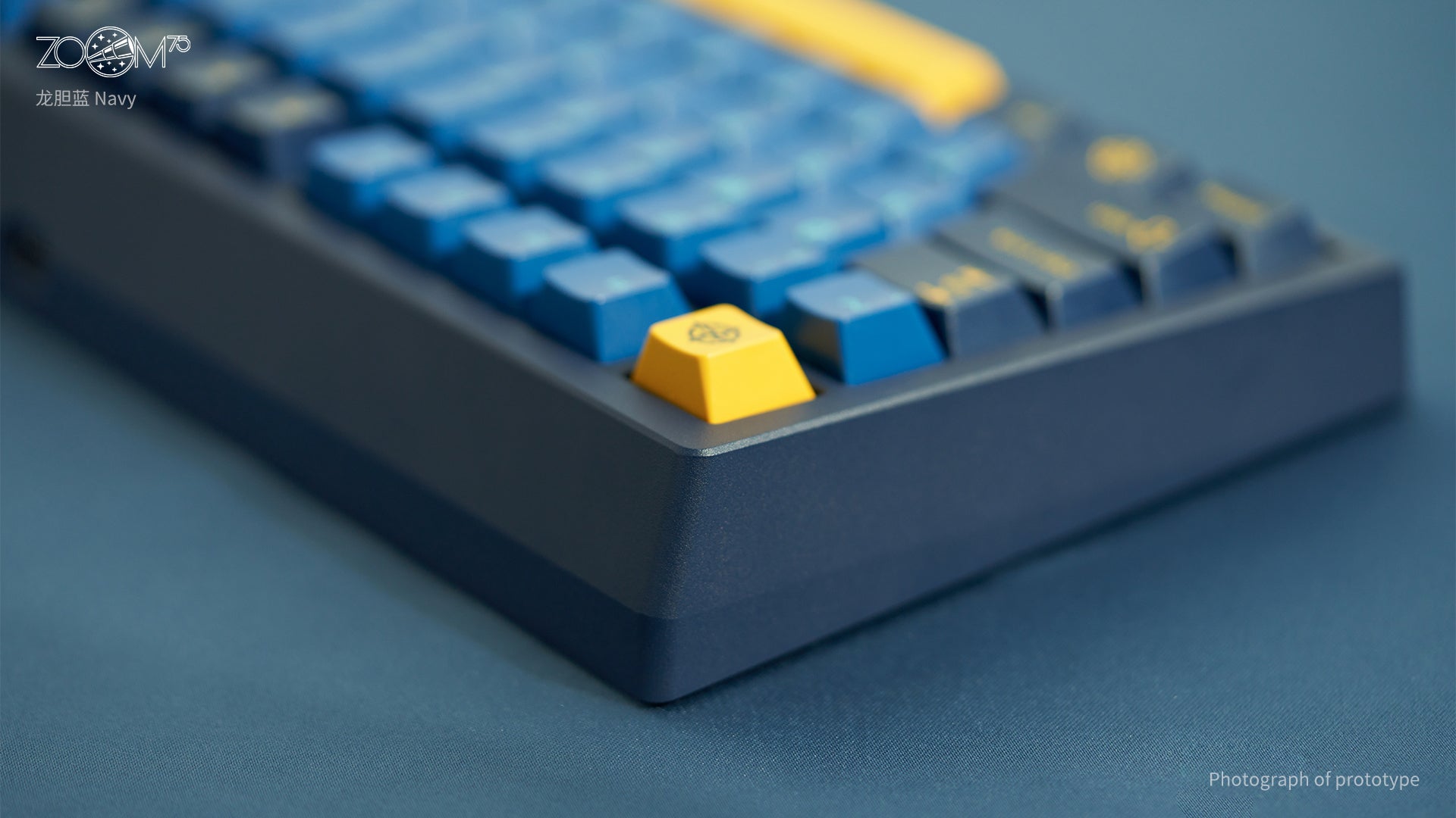 Zoom75 EE- 네이비