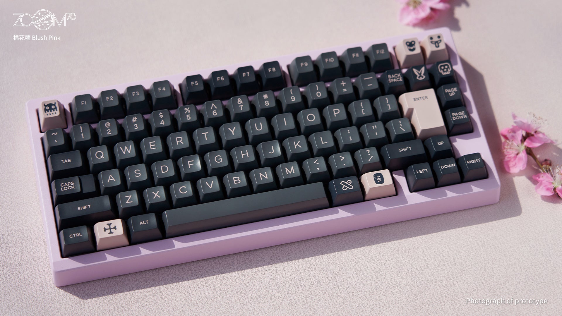 Zoom75 EE - 블러쉬 핑크