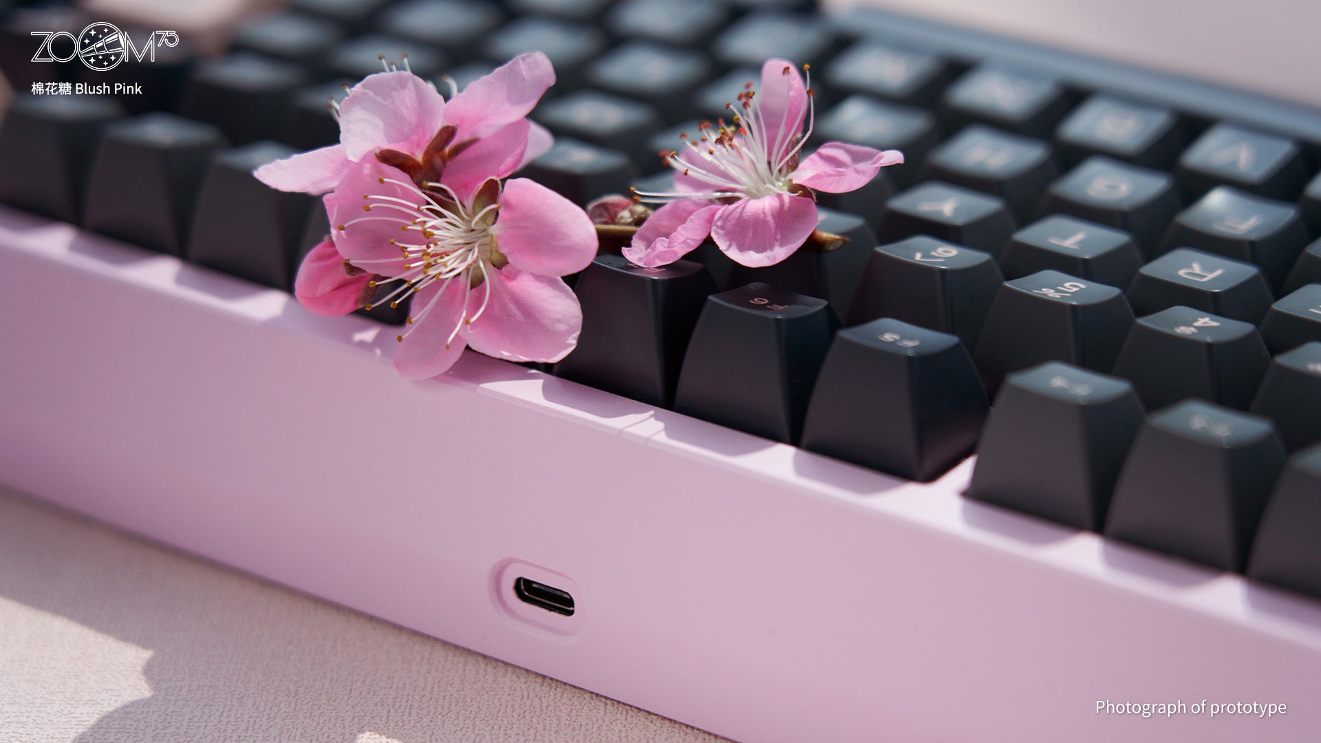 Zoom75 Essential Edition - Blush Pink