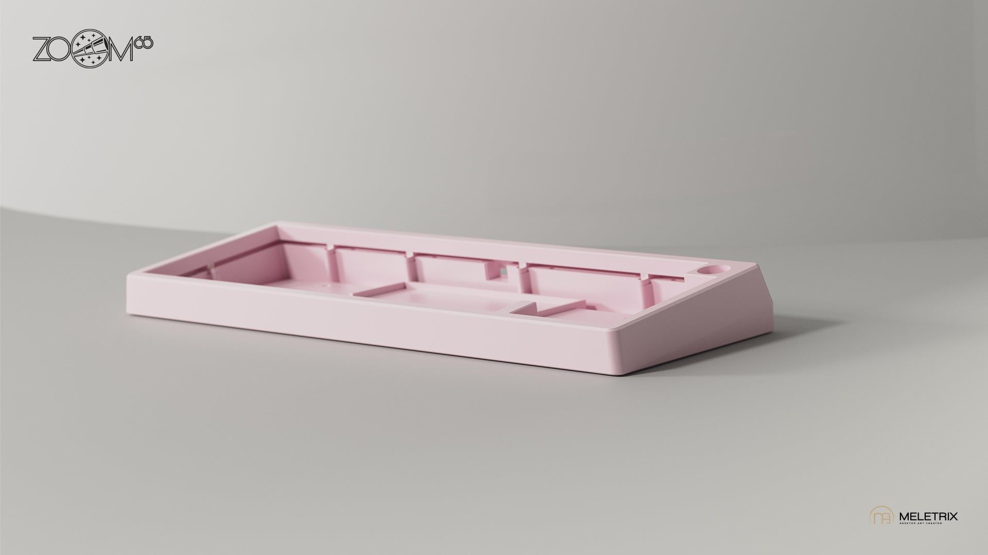 Zoom65 Essential Edition Extra Cases