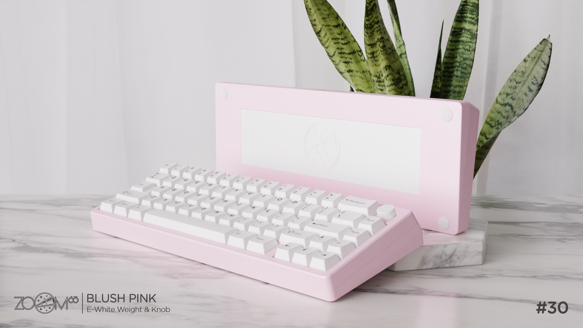 Zoom65 Essential Edition R2