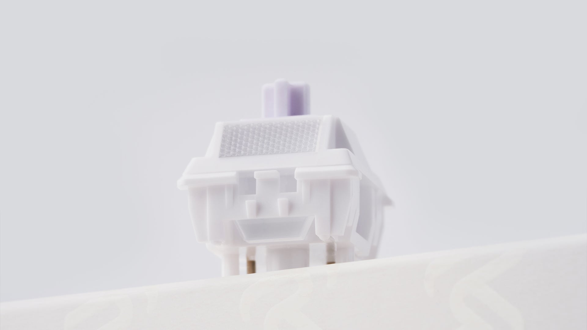 WS Morandi Switch（(35Pcs)）