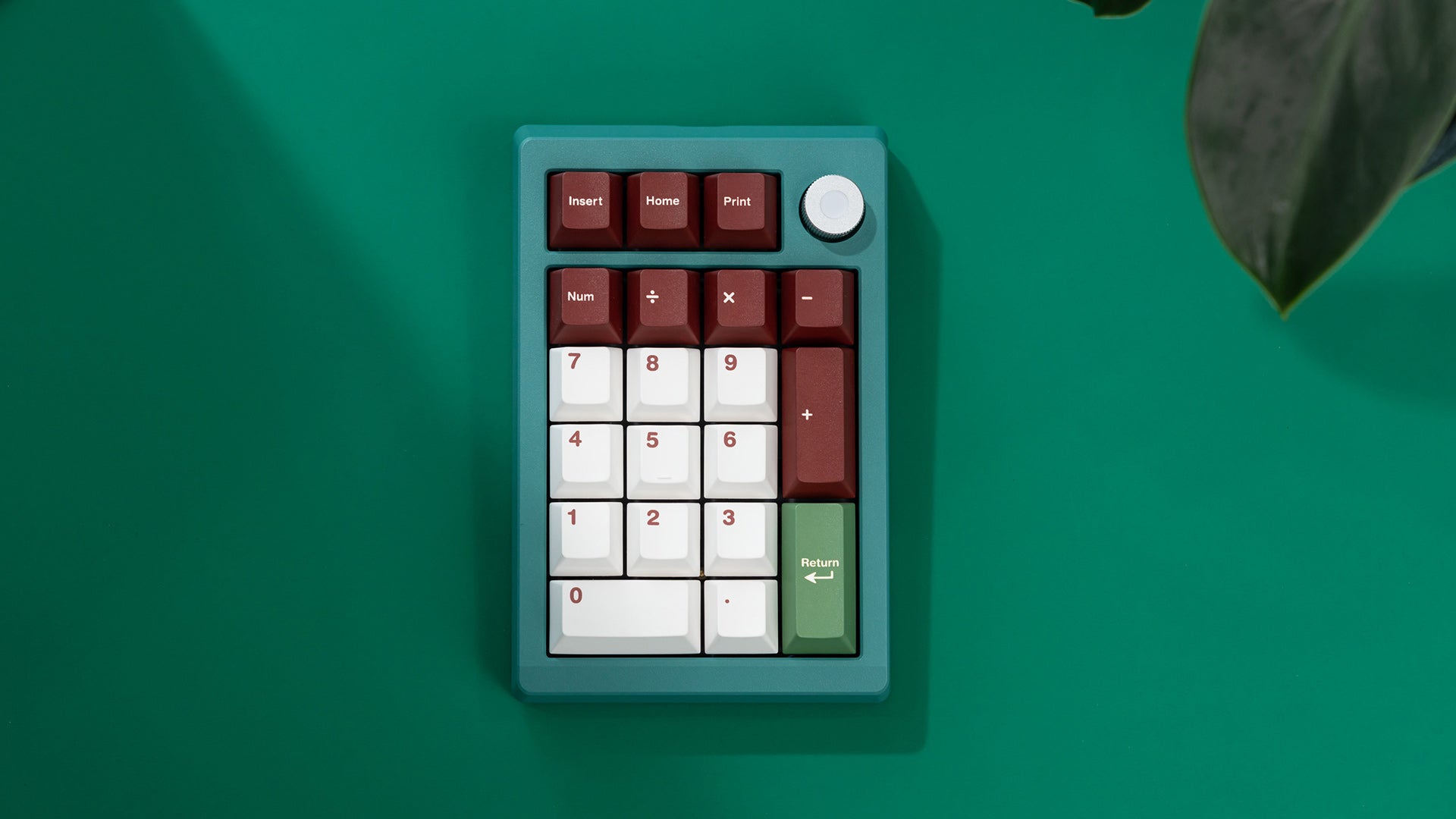 ZoomPad Essential Edition - 티일