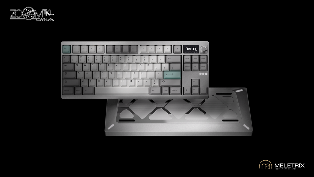 In Stock] ZOOM TKL DYNA GT Silver