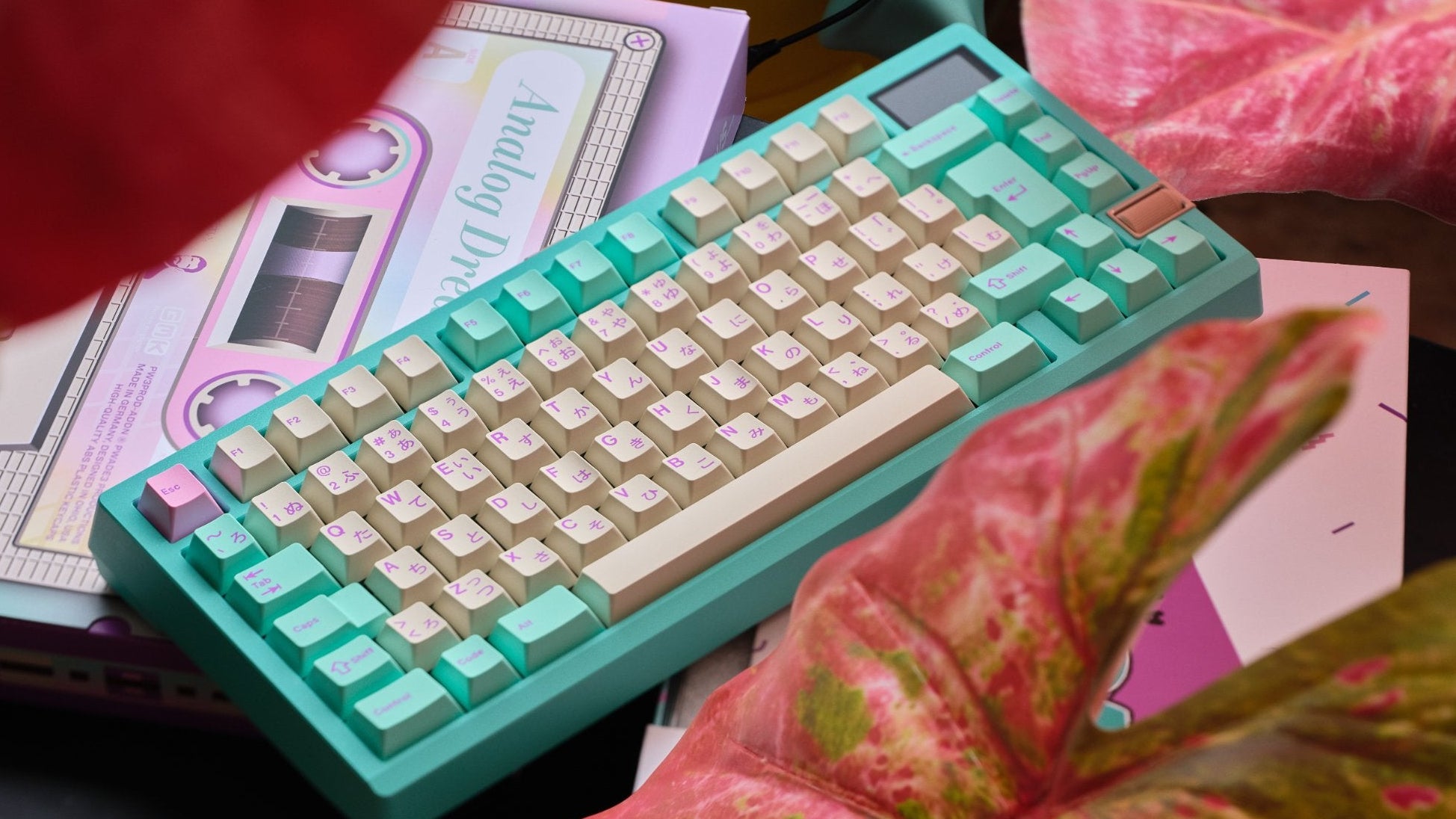 Pre-Order] Zoom75 TIGA Aquamarine