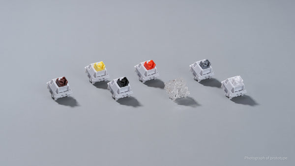 WS Switch Series
