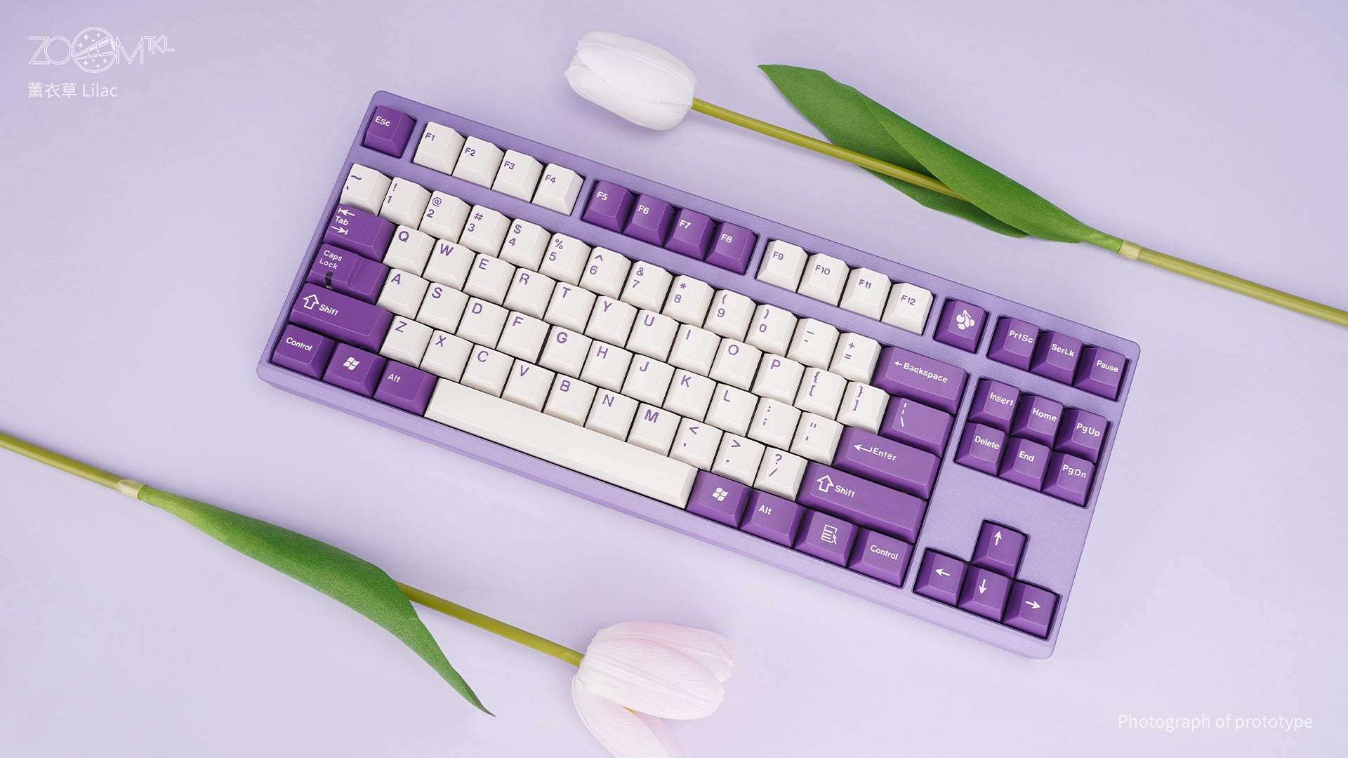 ZOOM TKL